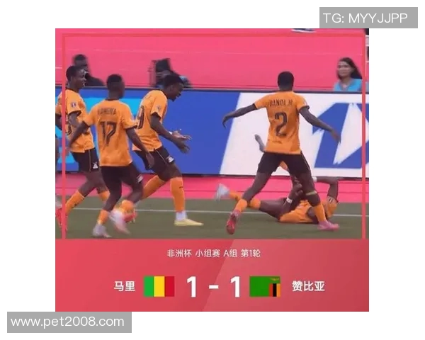 埃及队与南非队激战正酣谁能在这场较量中脱颖而出