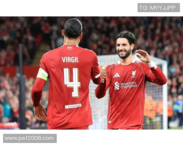 2018年利物浦与罗马对决阵容分析及比赛回顾