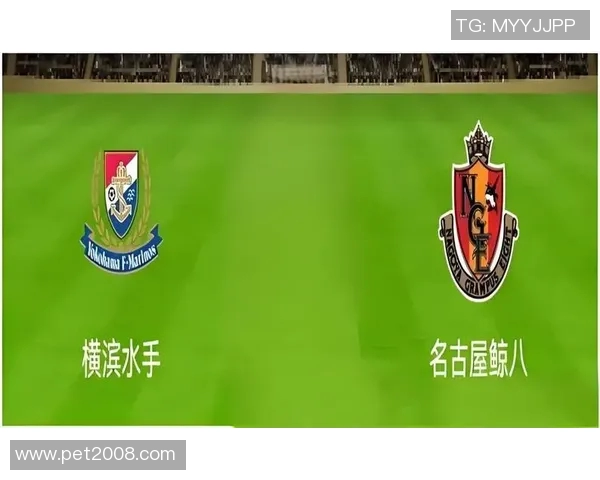 名古屋对阵横滨精彩直播全程回顾与赛后分析