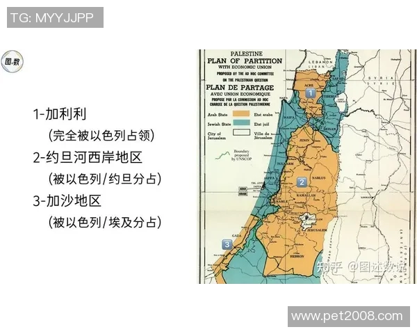巴勒斯坦与约旦足球赛前瞻及比分预测分析