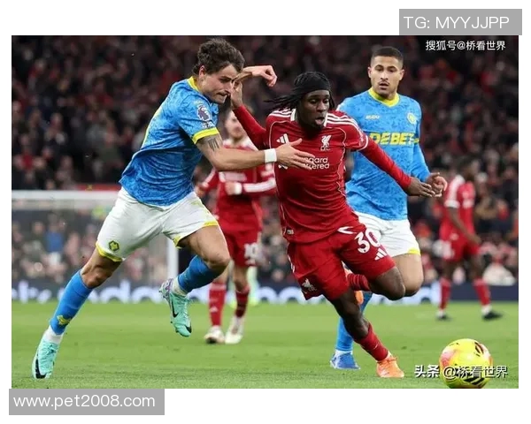 狼队与诺维奇对决结果揭晓球迷热议比赛精彩瞬间