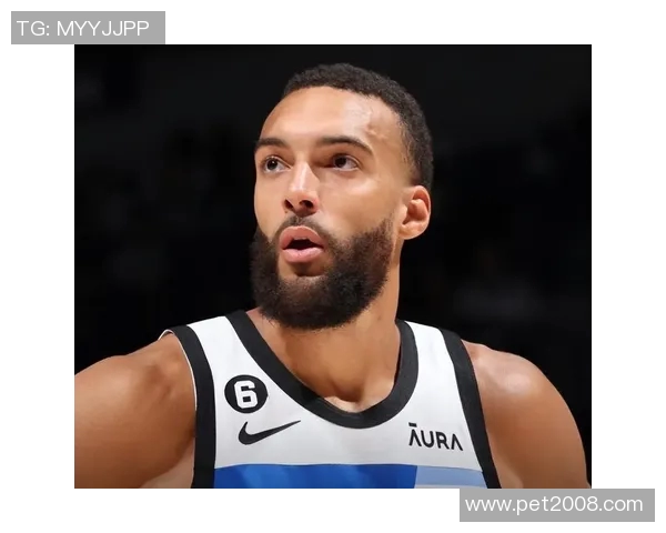 鲁迪戈贝尔：从防守巨星到篮球文化的全球传播者