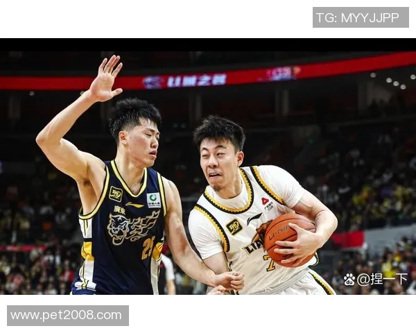 2017年辽宁队与广东队精彩对决比赛视频回顾与分析