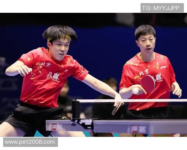 乒乓球灵活性排行榜揭晓上海乒乓球队荣登第十名引关注