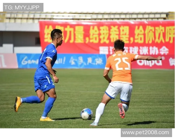 丽江飞虎与新疆精彩对决录像回放全景解析与赛后点评