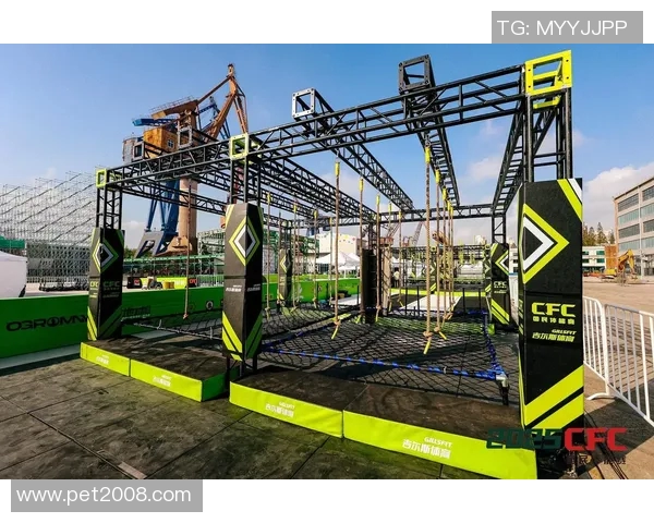 上海极限运动队速度对比深度解析与各队表现评估