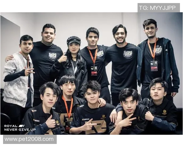 和平精英战术解析:深入探讨RNG战队的团队配合与战略布局