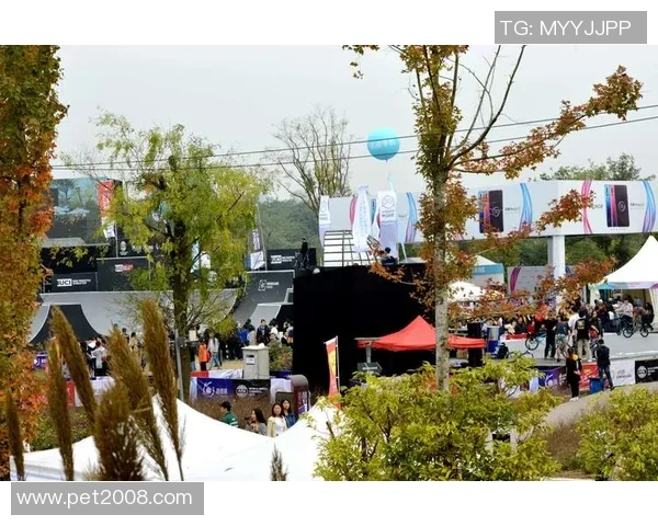 成都极限运动队实力强劲荣登全国力量排行榜第六名