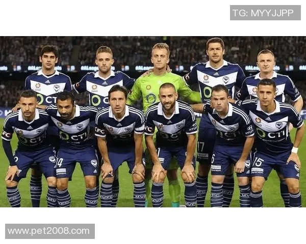 惠灵顿凤凰与布里激战在即球迷期待精彩对决与精彩表现