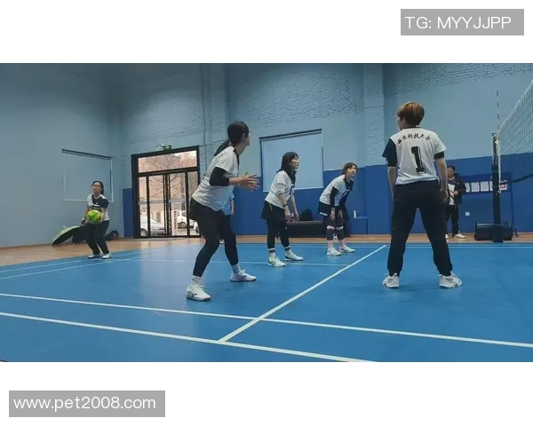 排球专题：深入探讨西安排球队在比赛中的战术意识与团队协作