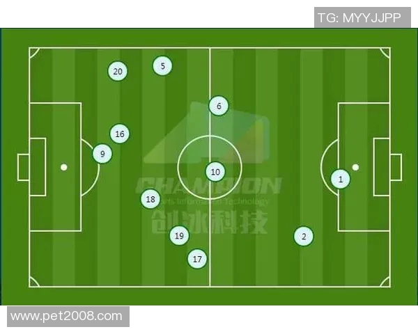 武汉排球队与南京排球队赛后复盘分析团队配合与战术执行的关键因素