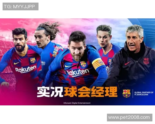 瓦斯科与累西腓的激烈对决揭示巴西足球的魅力与激情