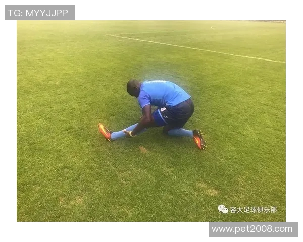 福冈黄蜂迎战赞釜玉激烈对决引发球迷热情高涨