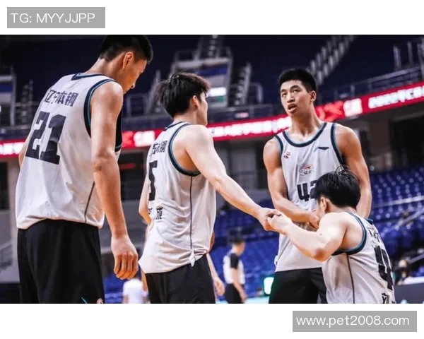 西安街舞队区域防守战术深度分析与实战应用探讨