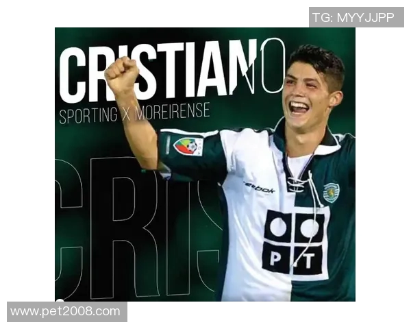 谢什科的传奇旅程与足球世界的辉煌成就分析