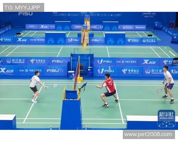 飞盘盛宴：深入探讨成都飞盘队的训练与比赛节奏