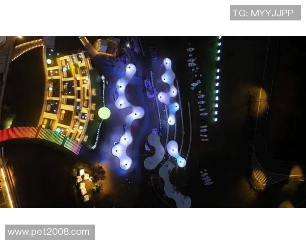 韩硕：从篮球场到商业舞台的多元发展之路与人生哲学探讨