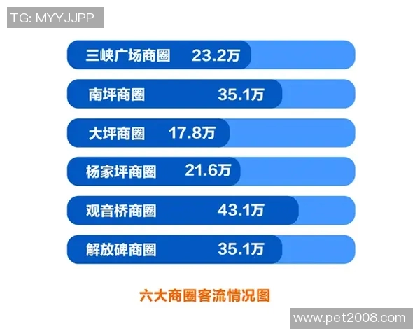 重庆极限运动队节奏表现数据分析与提升策略探讨