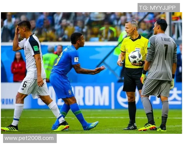 金泽塞维与新泻激战在即谁能在这场对决中笑到最后