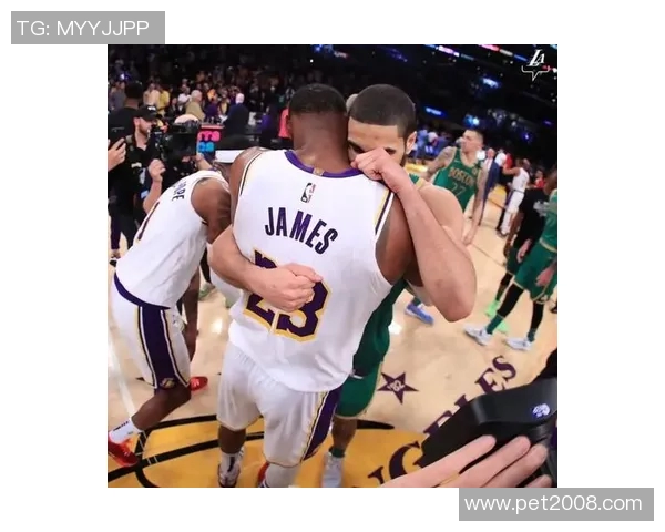 骑士与热火激战正酣新浪影评带你深入赛事背后的故事与精彩瞬间