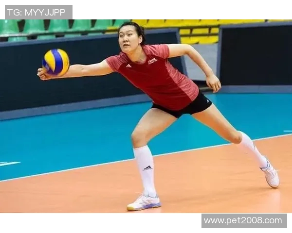 上海排球队实力分析与发展潜力探讨聚焦排球未来之路