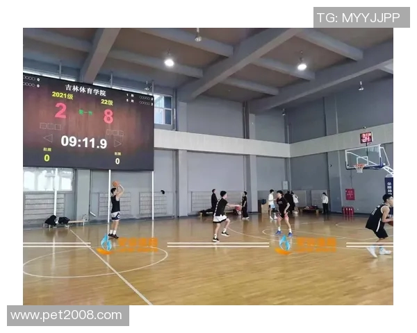 成都篮球队近期状态分析与未来发展展望聚焦篮球热潮