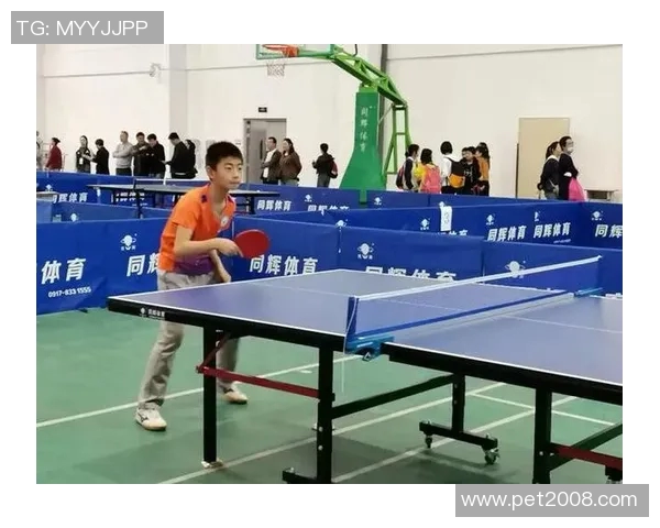西安乒乓球队区域防守策略分析与比赛表现评估