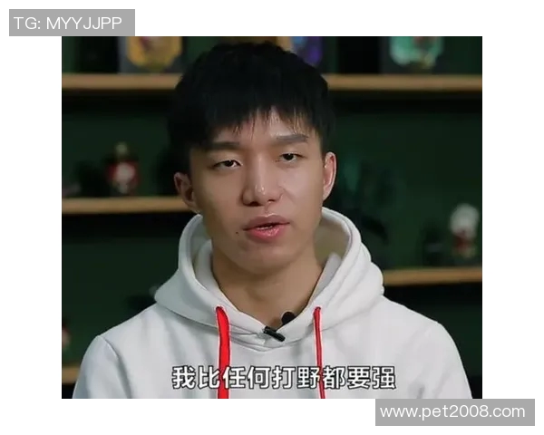 EDG中路突破分析:战术调整与比赛表现的得失评估